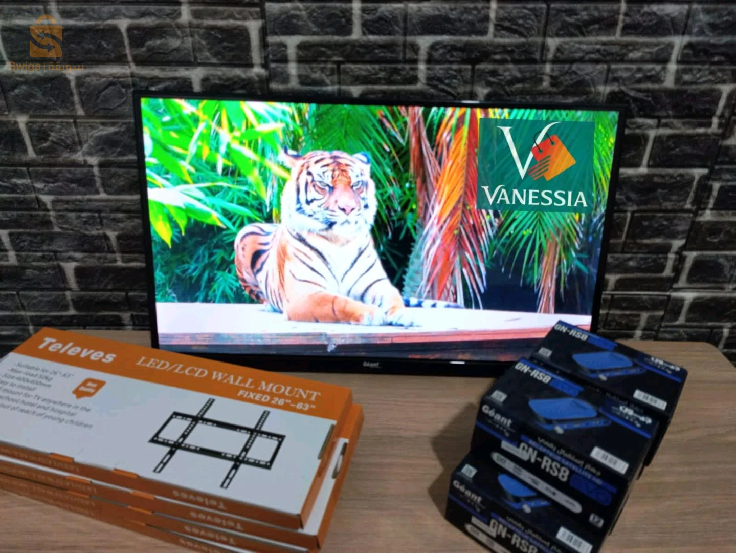 تلفاز +ديمو +ليسيبور