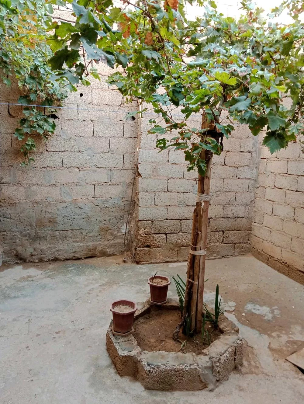 بلدية الخنڨ