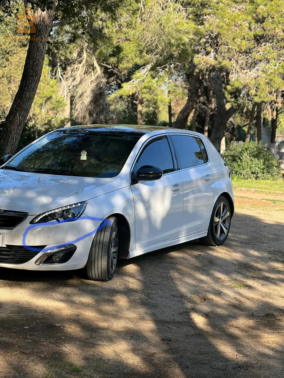 308 allure