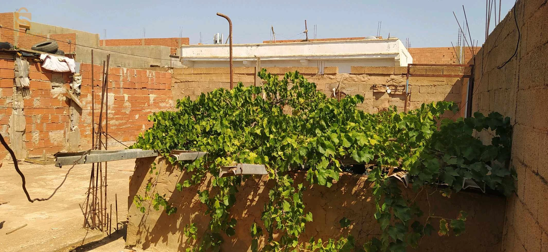 maison à vendre à mascara