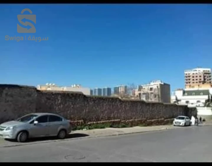 vente terrain 4600 mètres carré. à Gambetta
