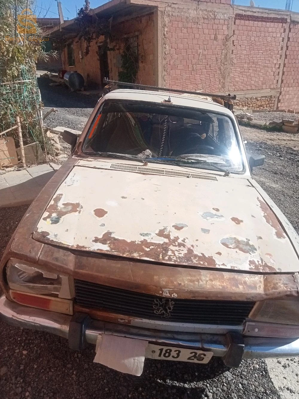 المدية