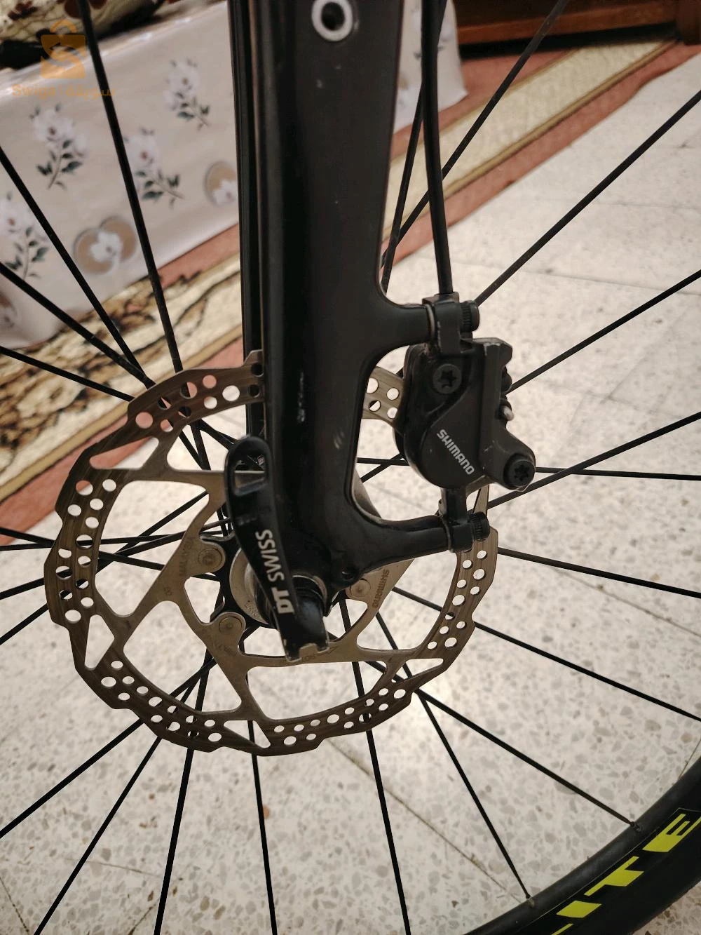 canyon Bike