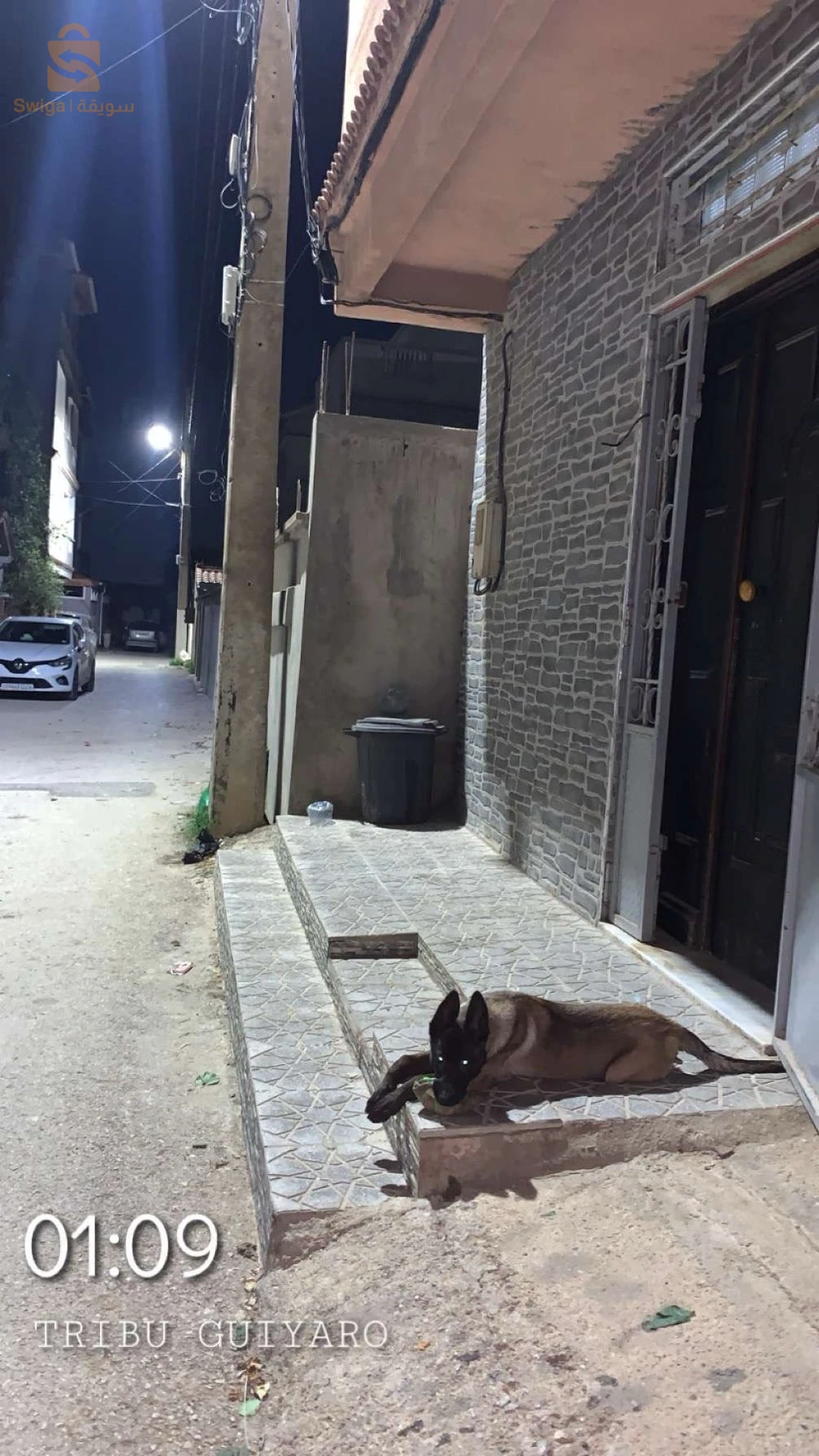 مالينو يخدم  l attontion b carne d vacsain klch khso gir drisag w  2,5 w le prix fi emro 3moisمليون