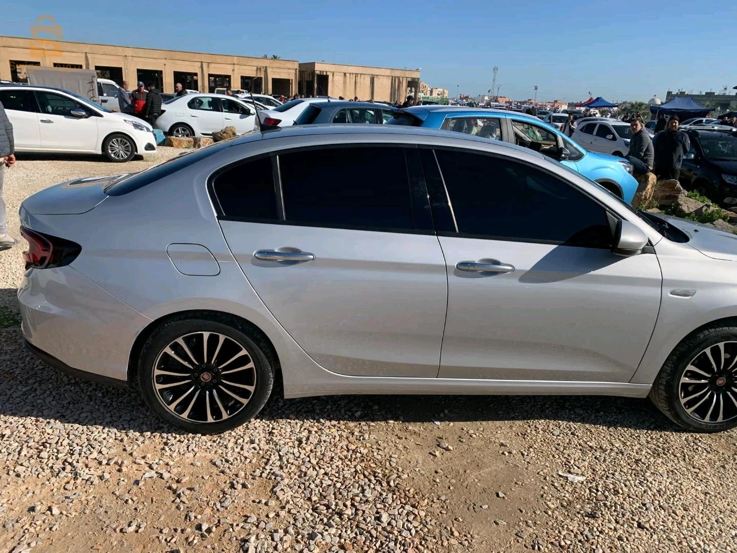 fiat tipo live