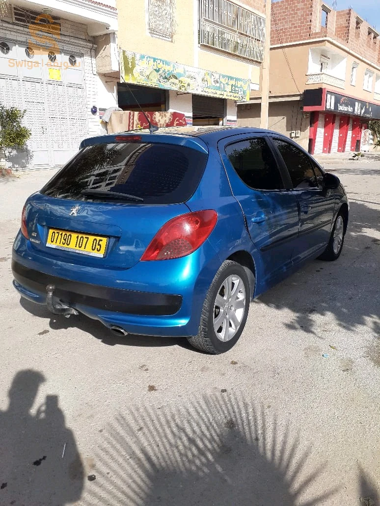 207 سلعة زينة