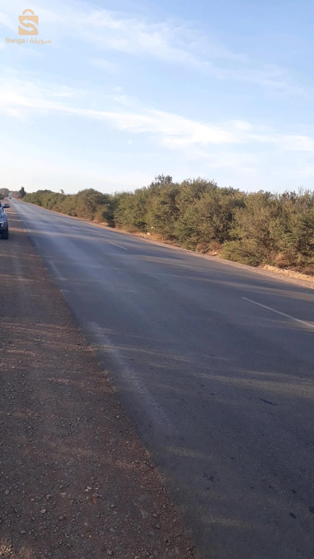 بيع قطعة ارض في ولاية مستغانم