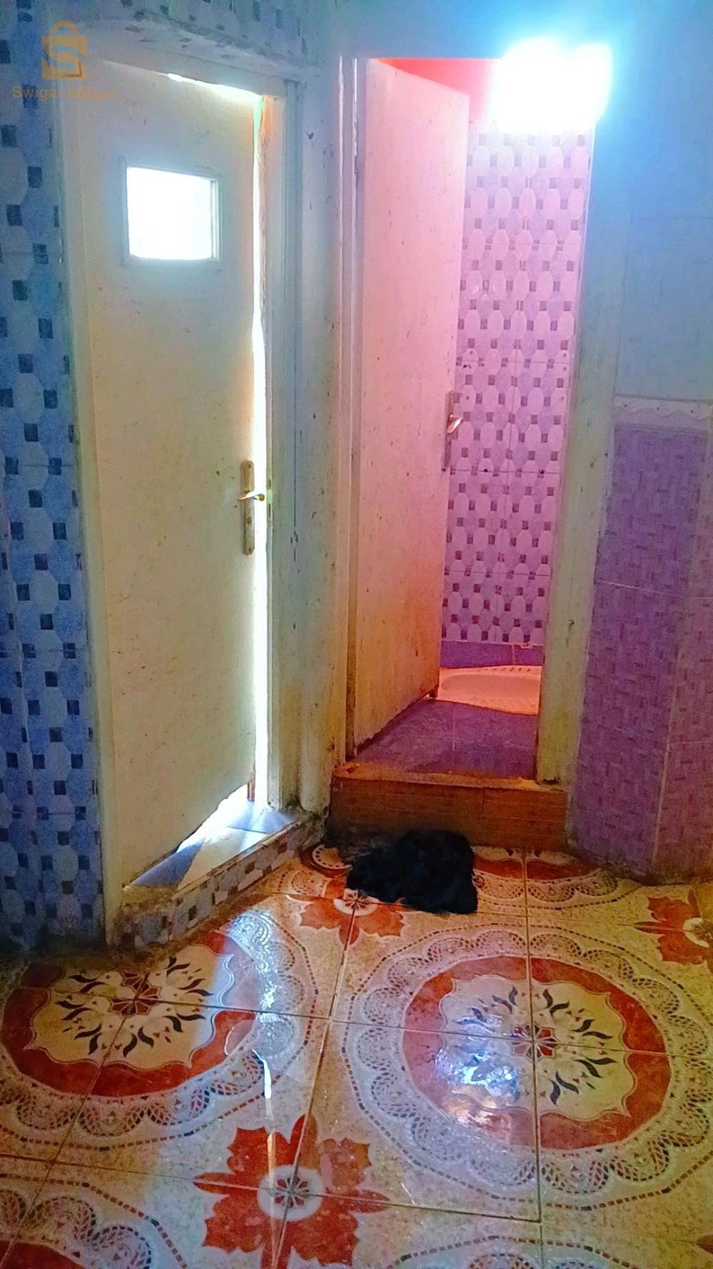 بويرة بلدية عين العلوي