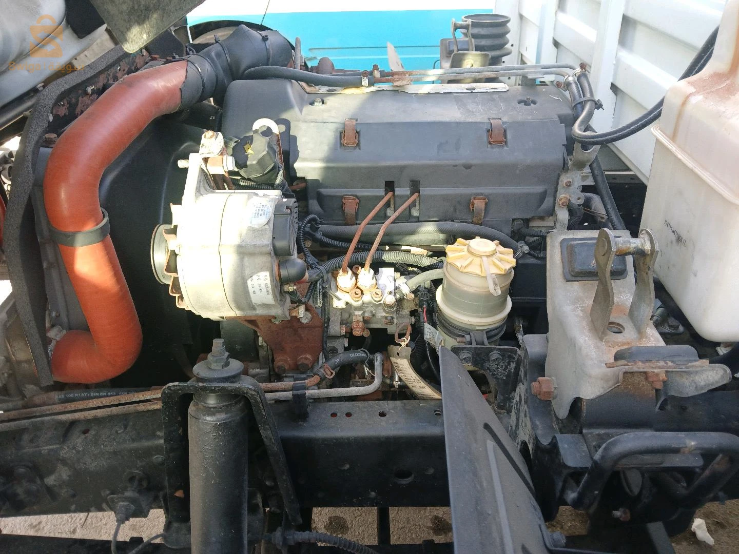 قليعة سموريس تيبازة