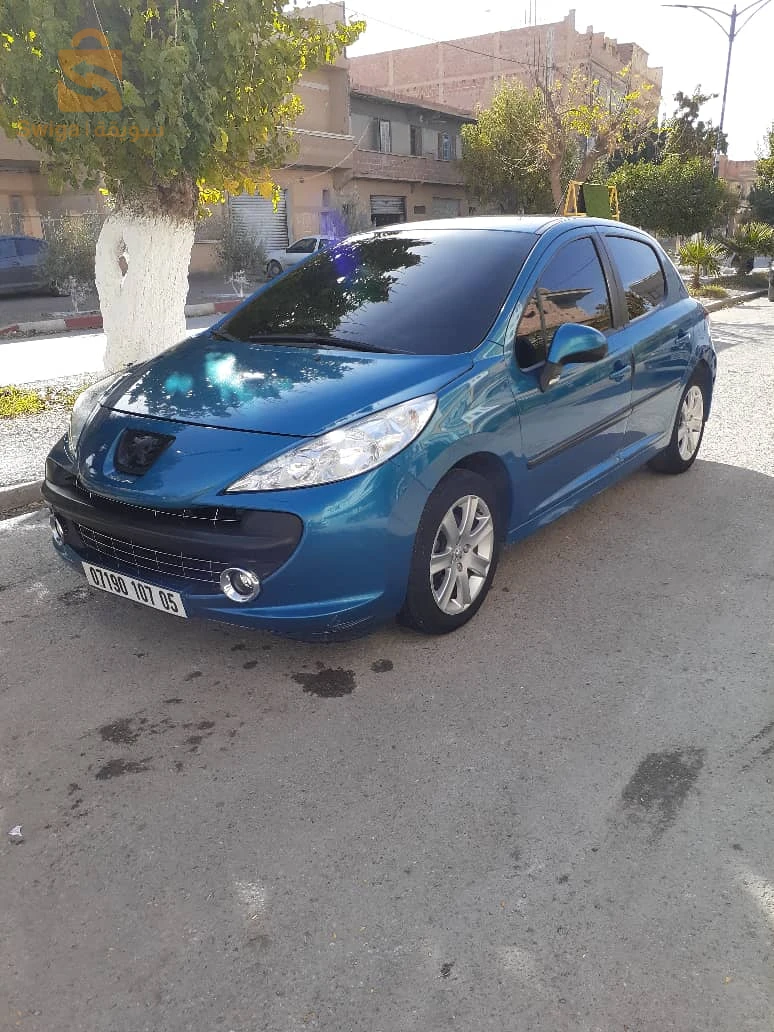 207 سلعة زينة