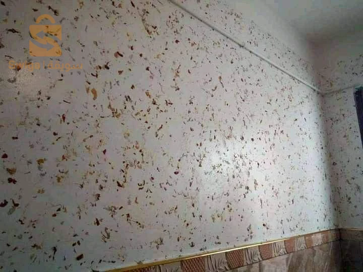 دهن وتزين داخلي وخارجي
