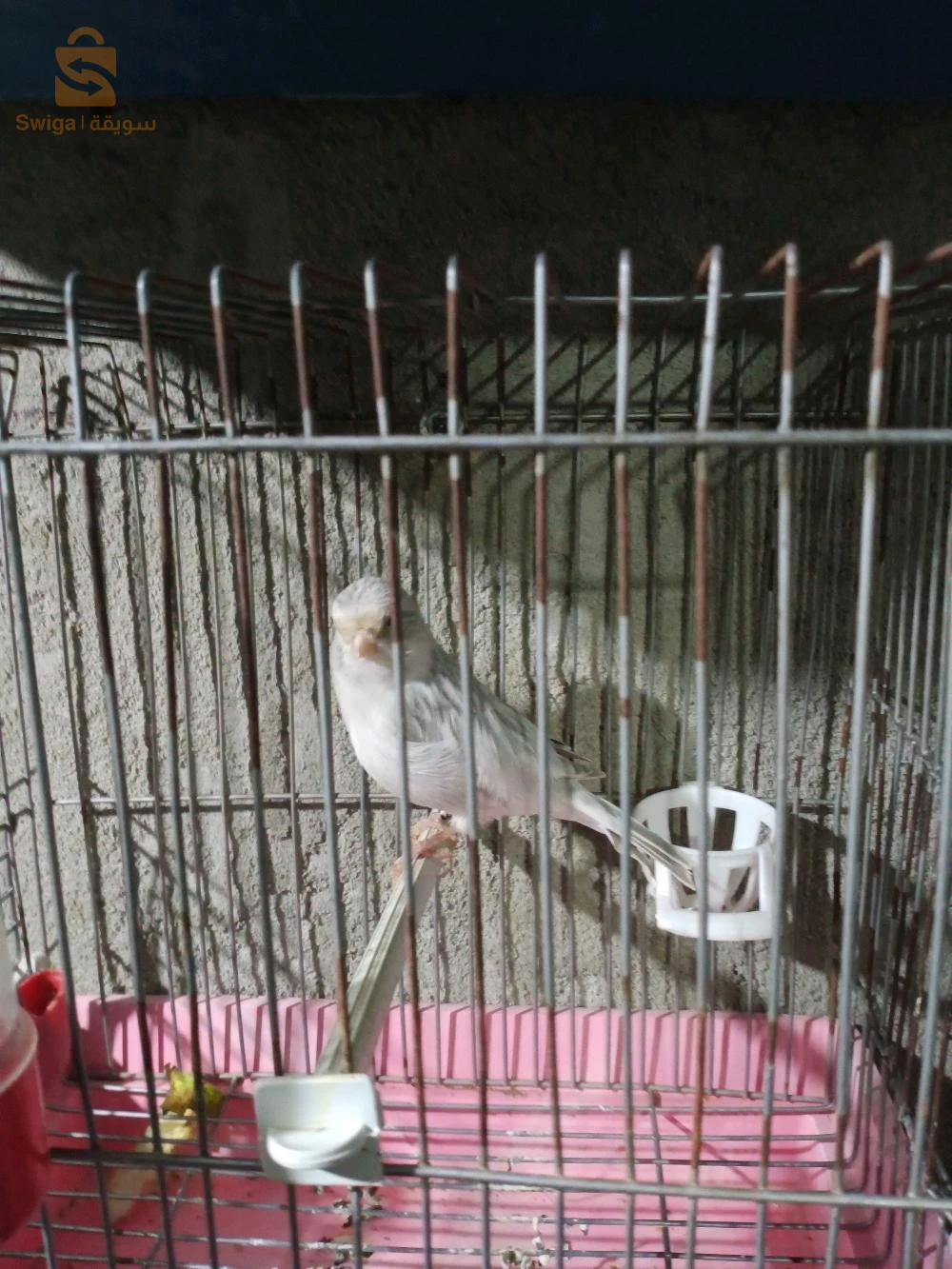 بيع كنتري اغات ابيض