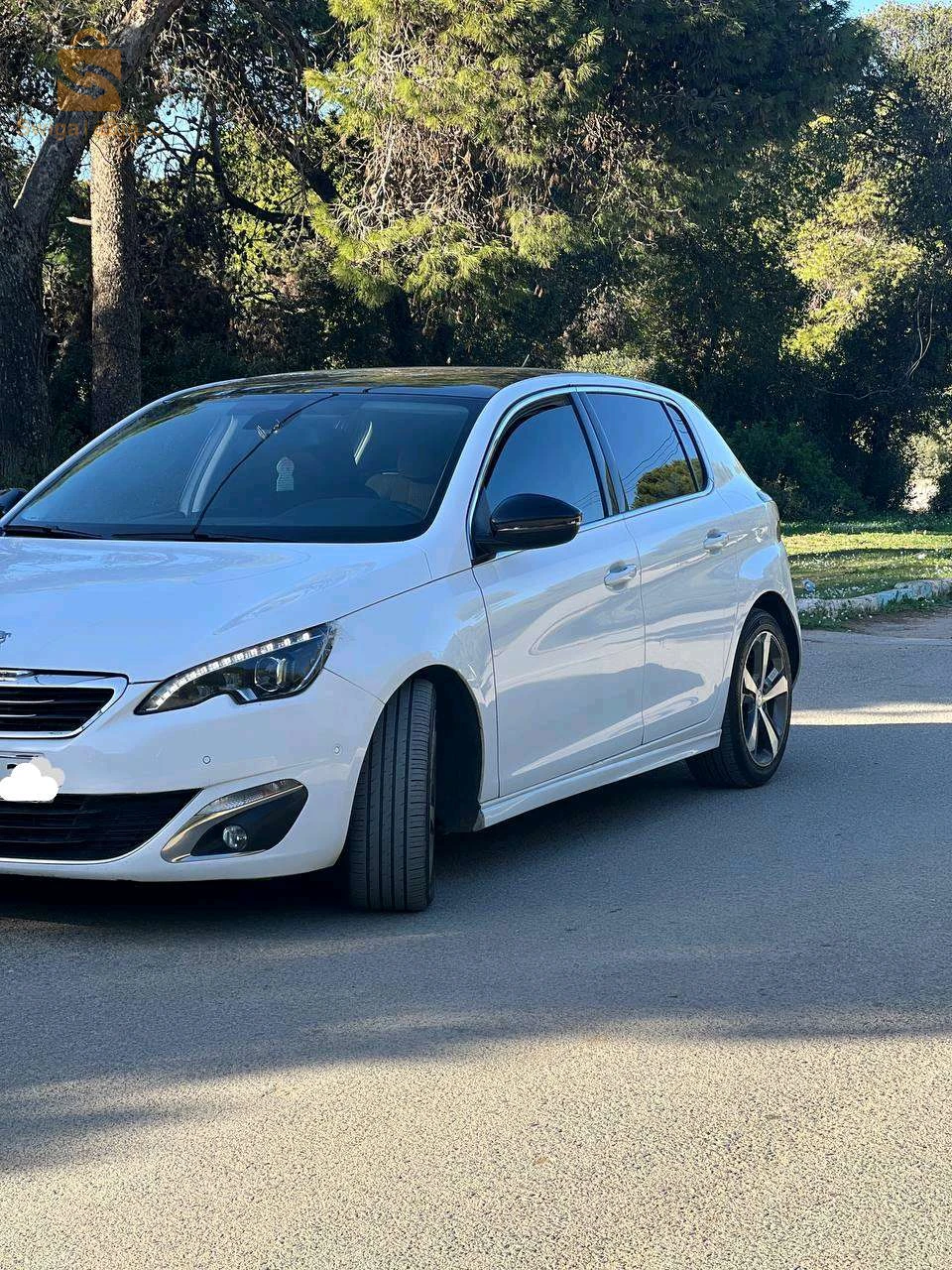 308 allure