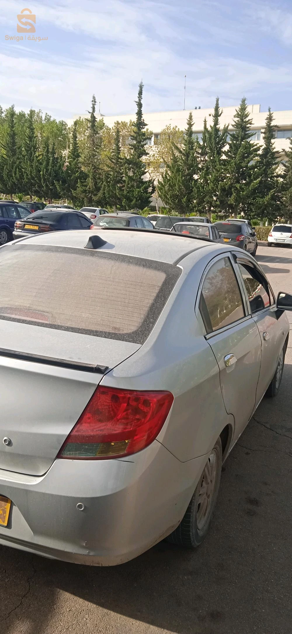 شلغوم العيد