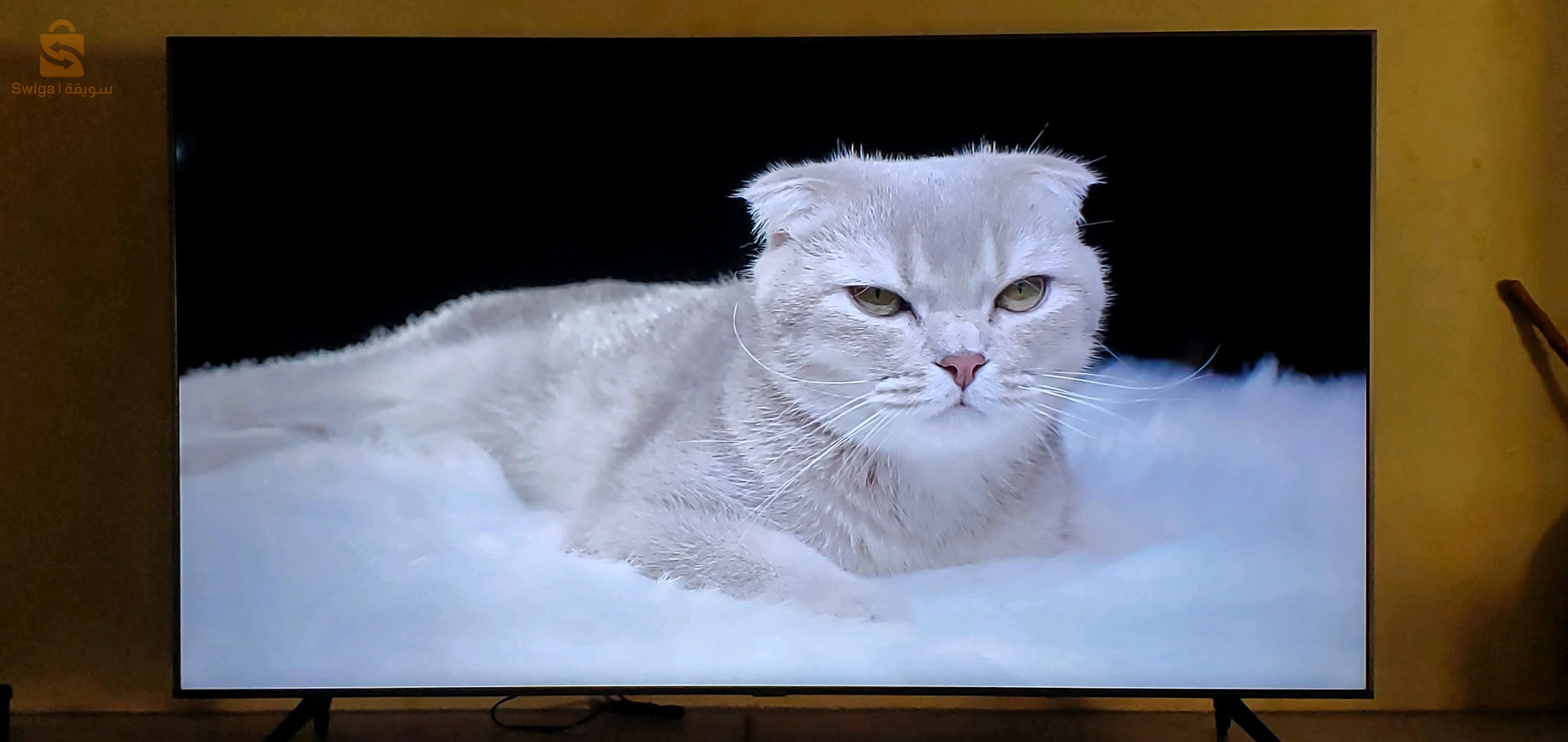 neuf servis 30 heures seulement