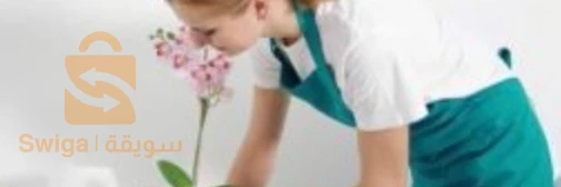 مكتب شغالات بالشهر بالرياض