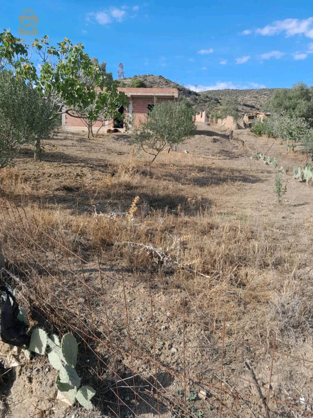 كركاسة للبيع