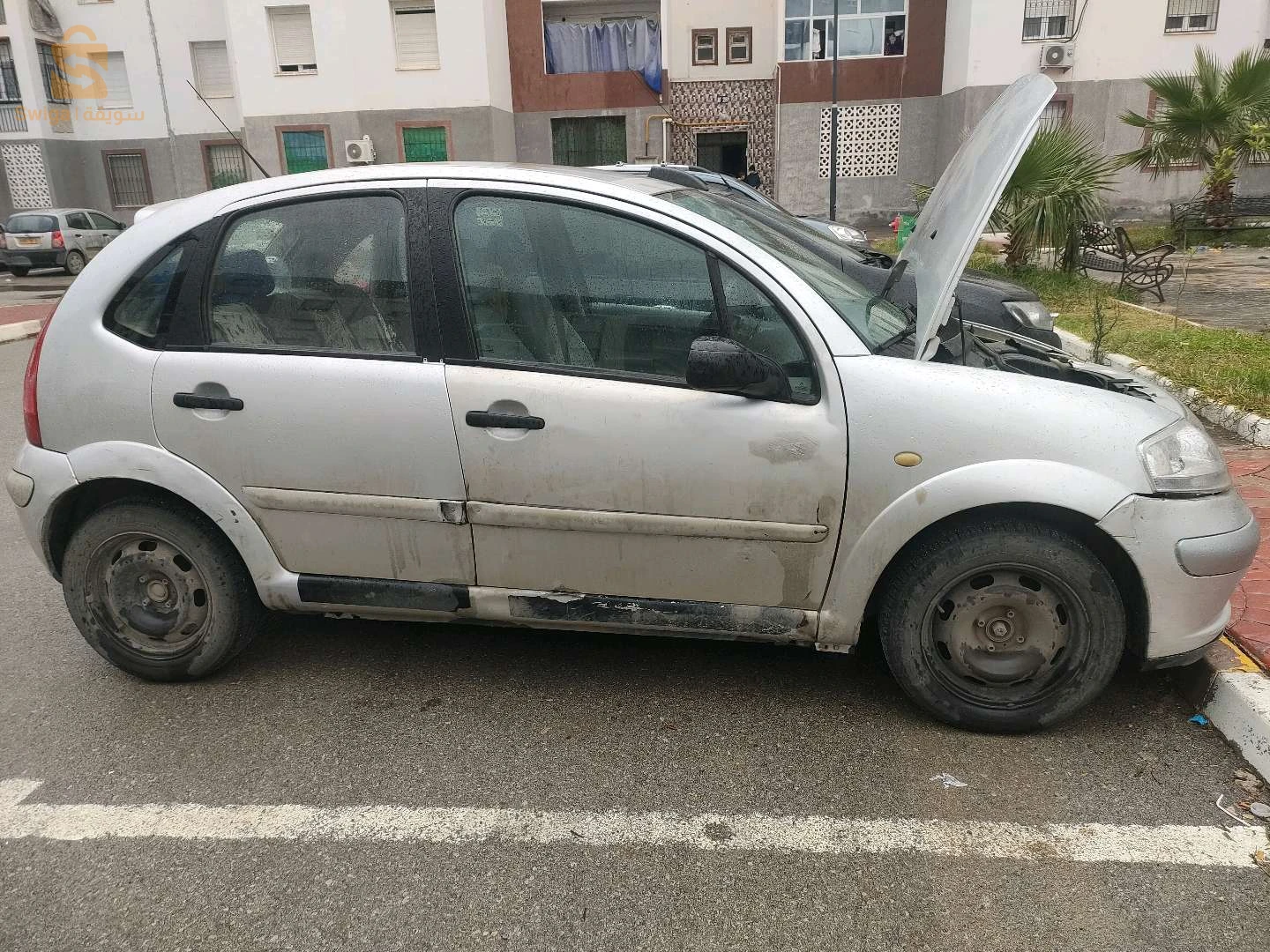 الطارف