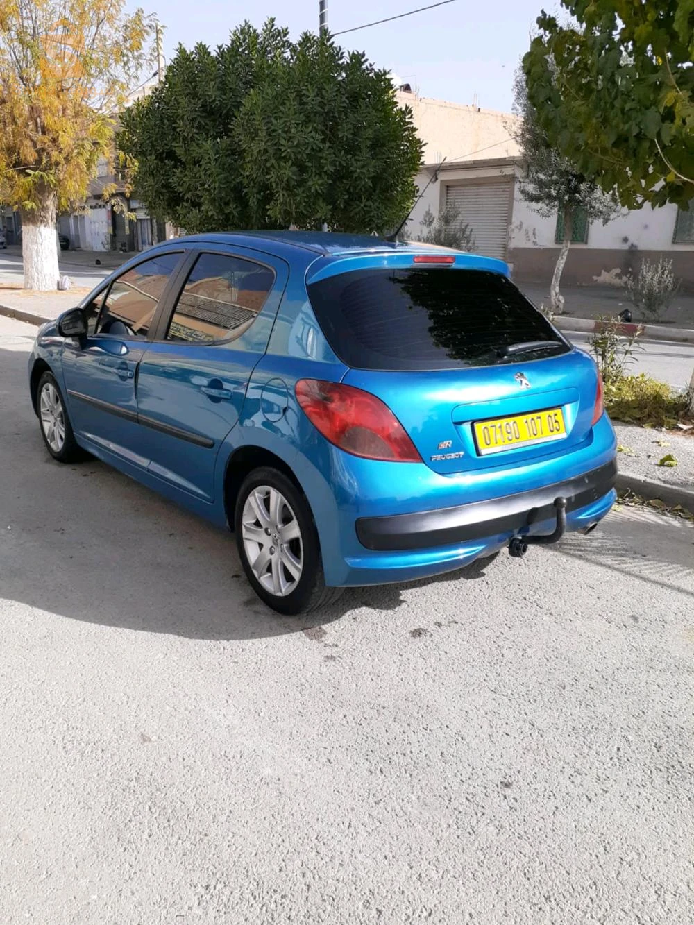 207 سلعة زينة