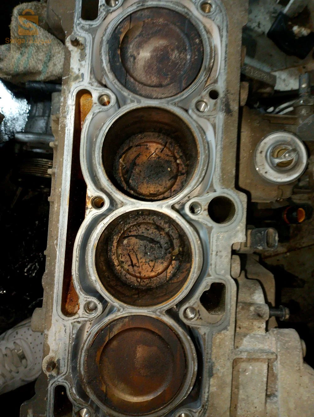 دلس واد تيزة