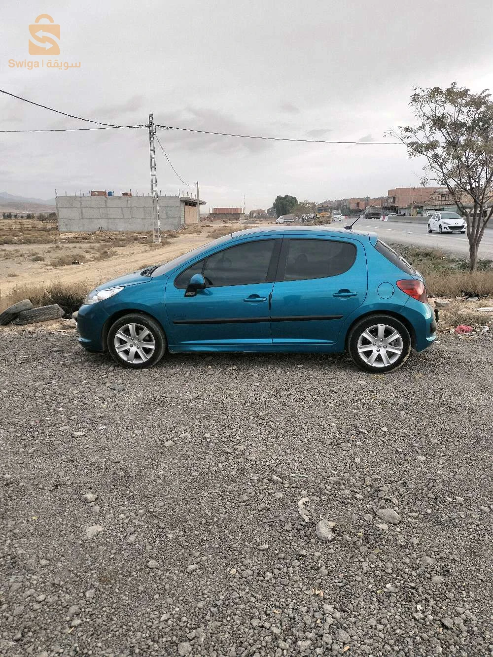 207 سلعة زينة