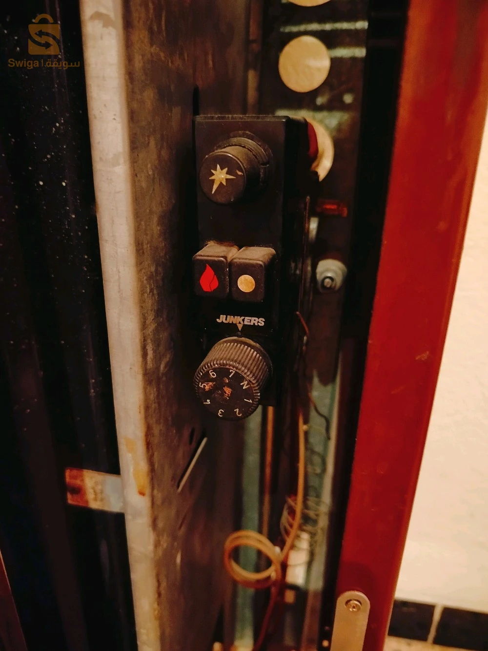 شلغوم العيد