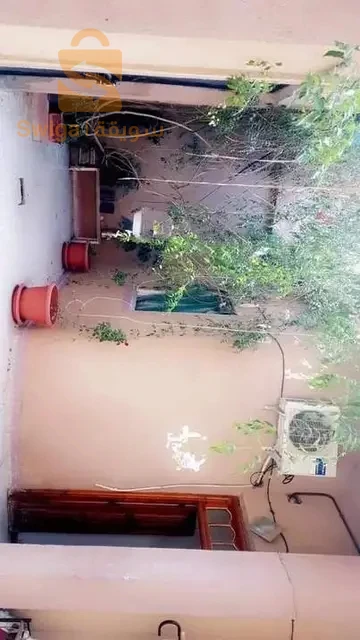 منزل لسكن طابق أرضي واسع الله يبارك ويقع في وسط الولاية قريب من كل المرافق(ابتدائية-متوسطة-ثانوية-جامعة-مسجد)
فيه زوج مراح واحد امام باب الدخلة وثاني في الخلف وجهة المنزل جيهة وحدة للاستفسار عن اي معلومة  الاتصال على الرقم 
0670143019