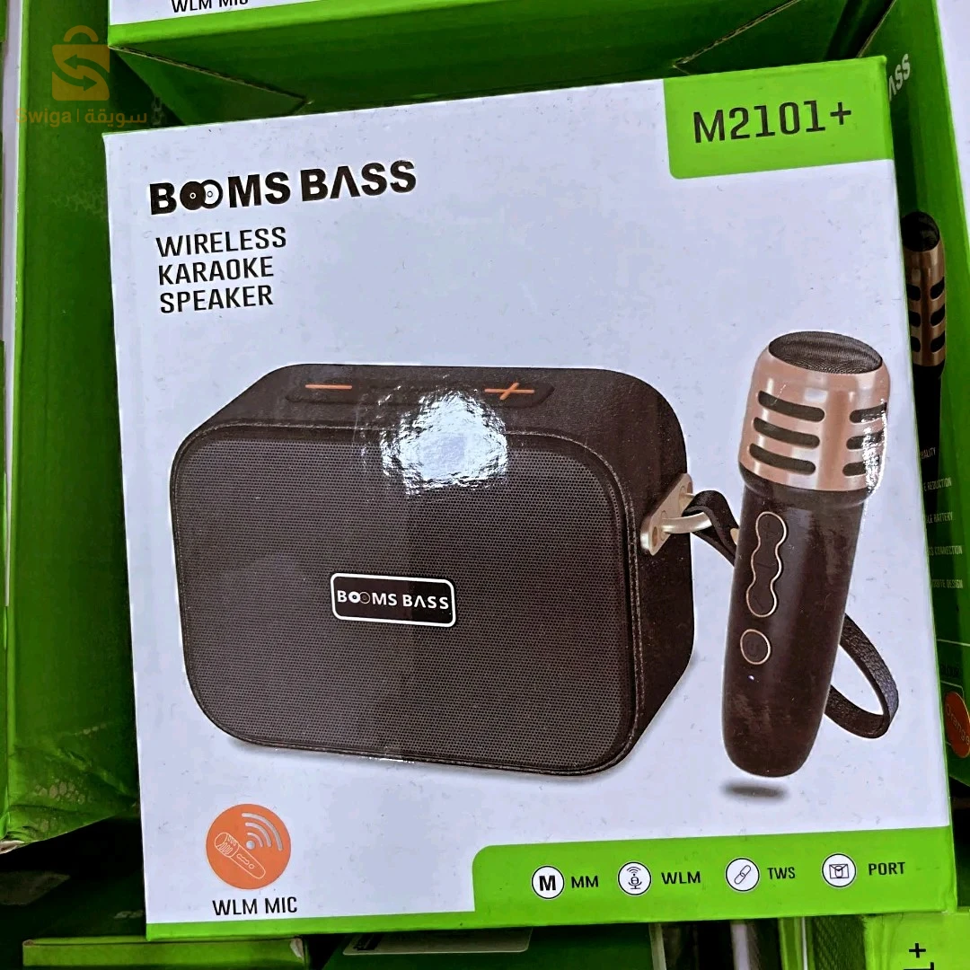 ميكروفون مع مكبر صوت