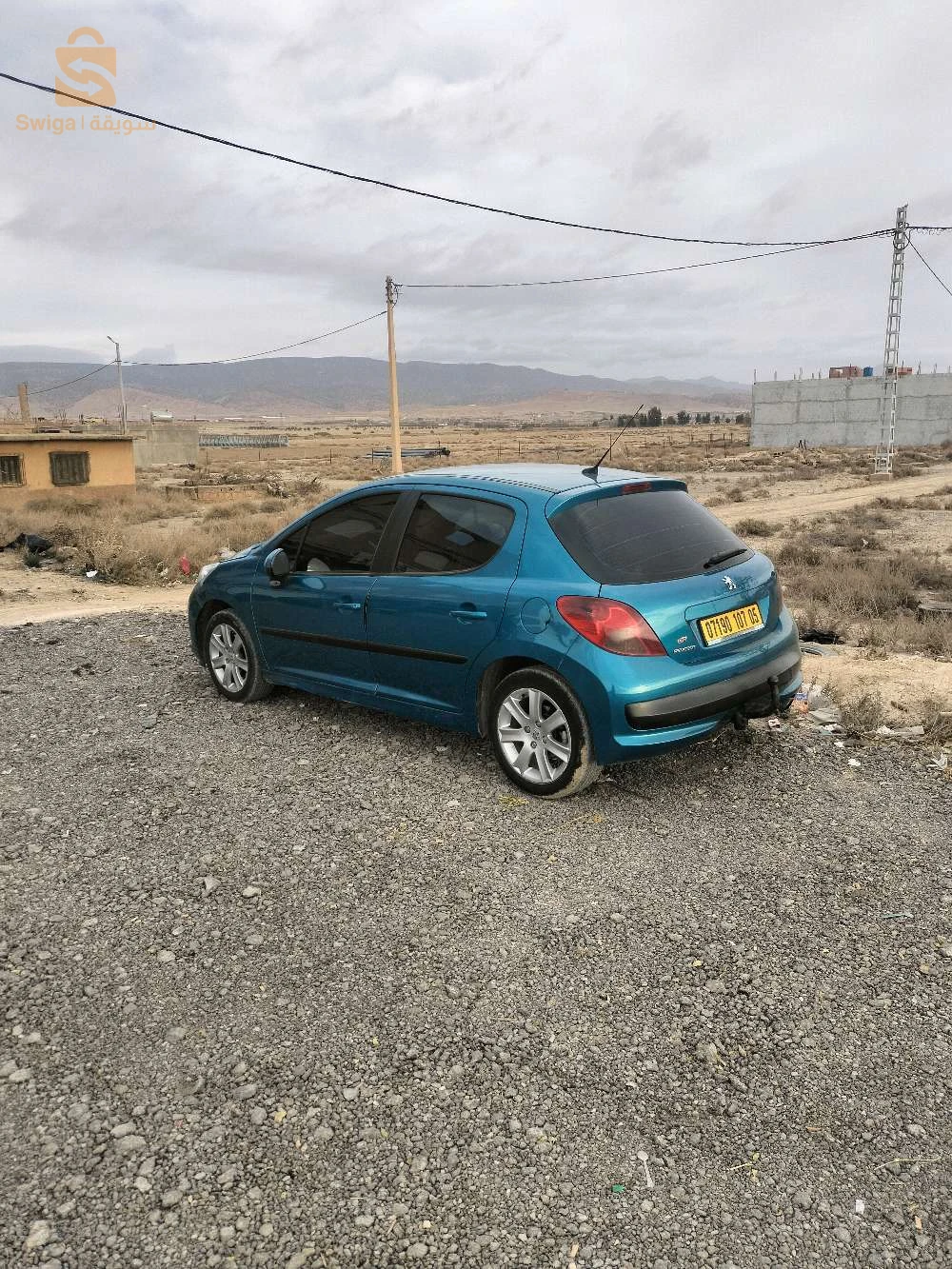 207 سلعة زينة