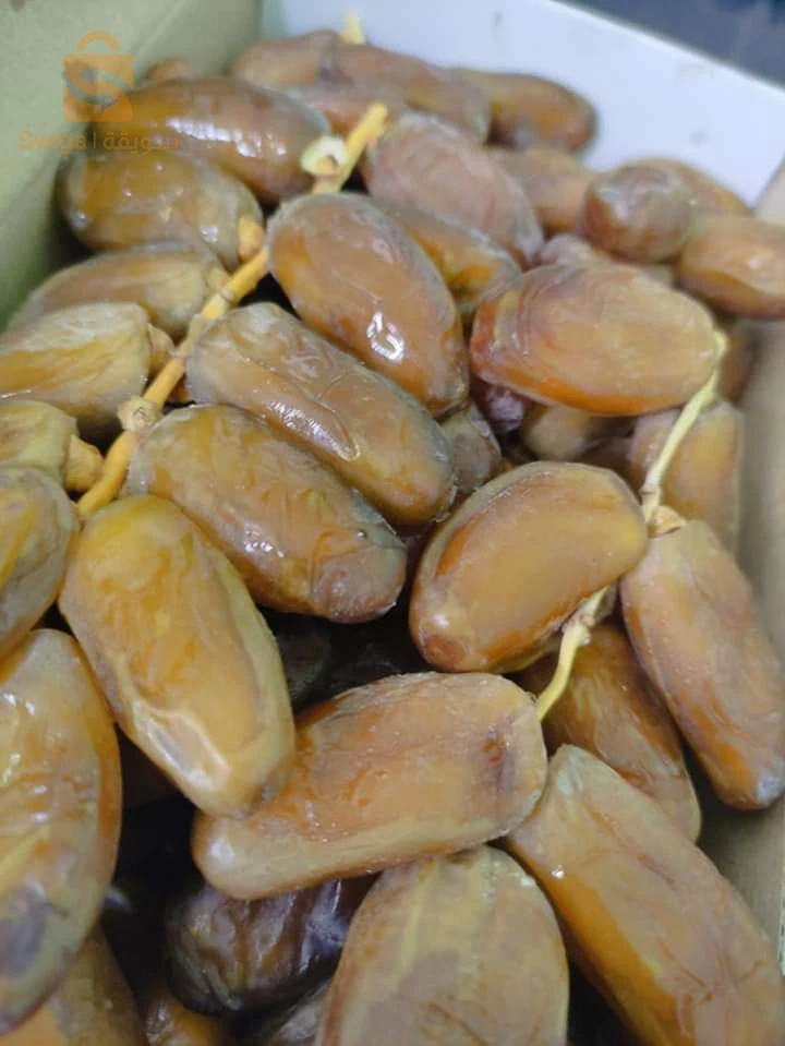 فوغالة بسكرة
