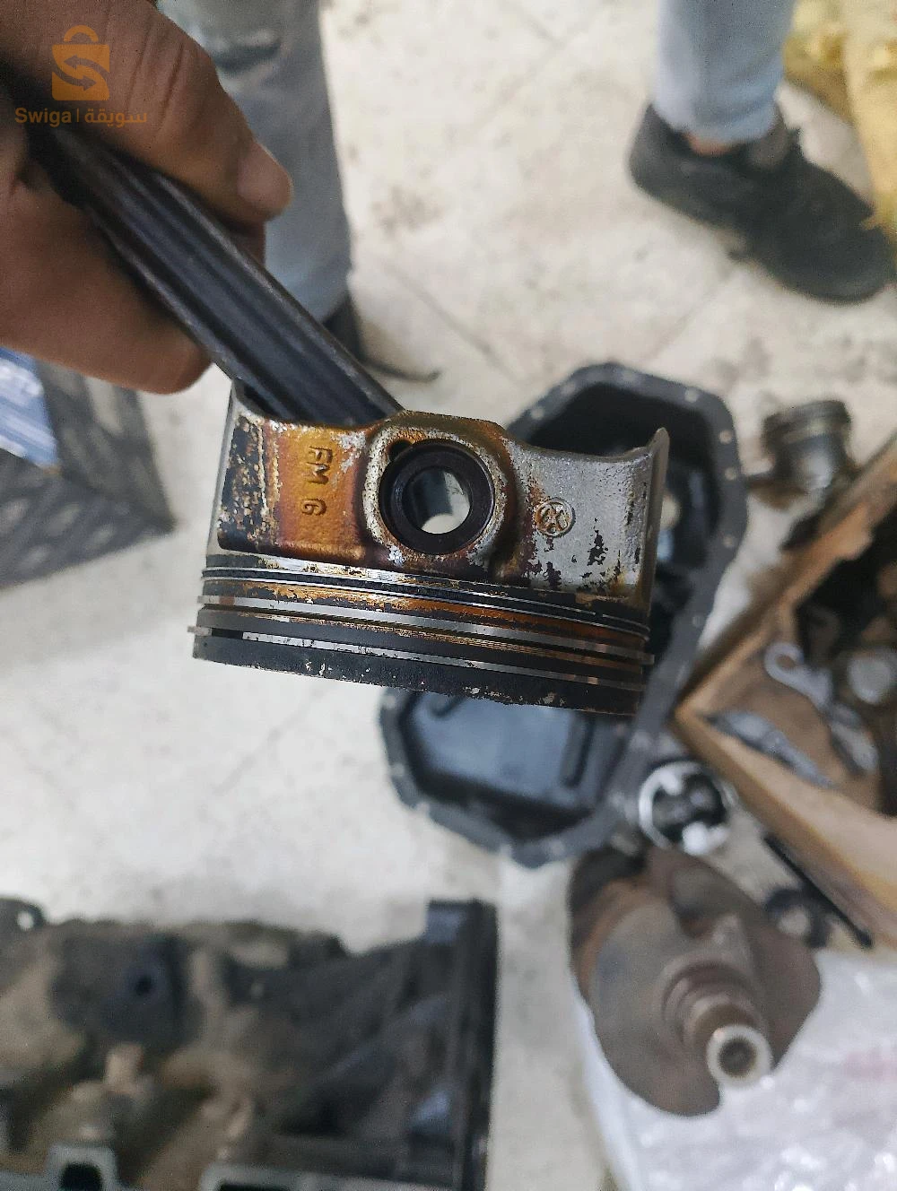 دلس واد تيزة