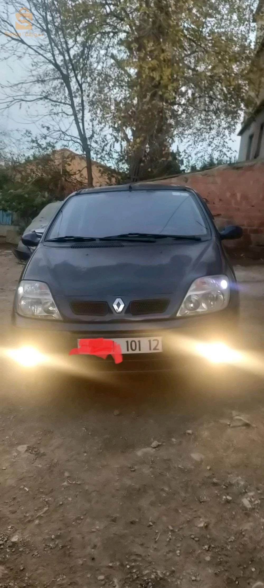 سينيك