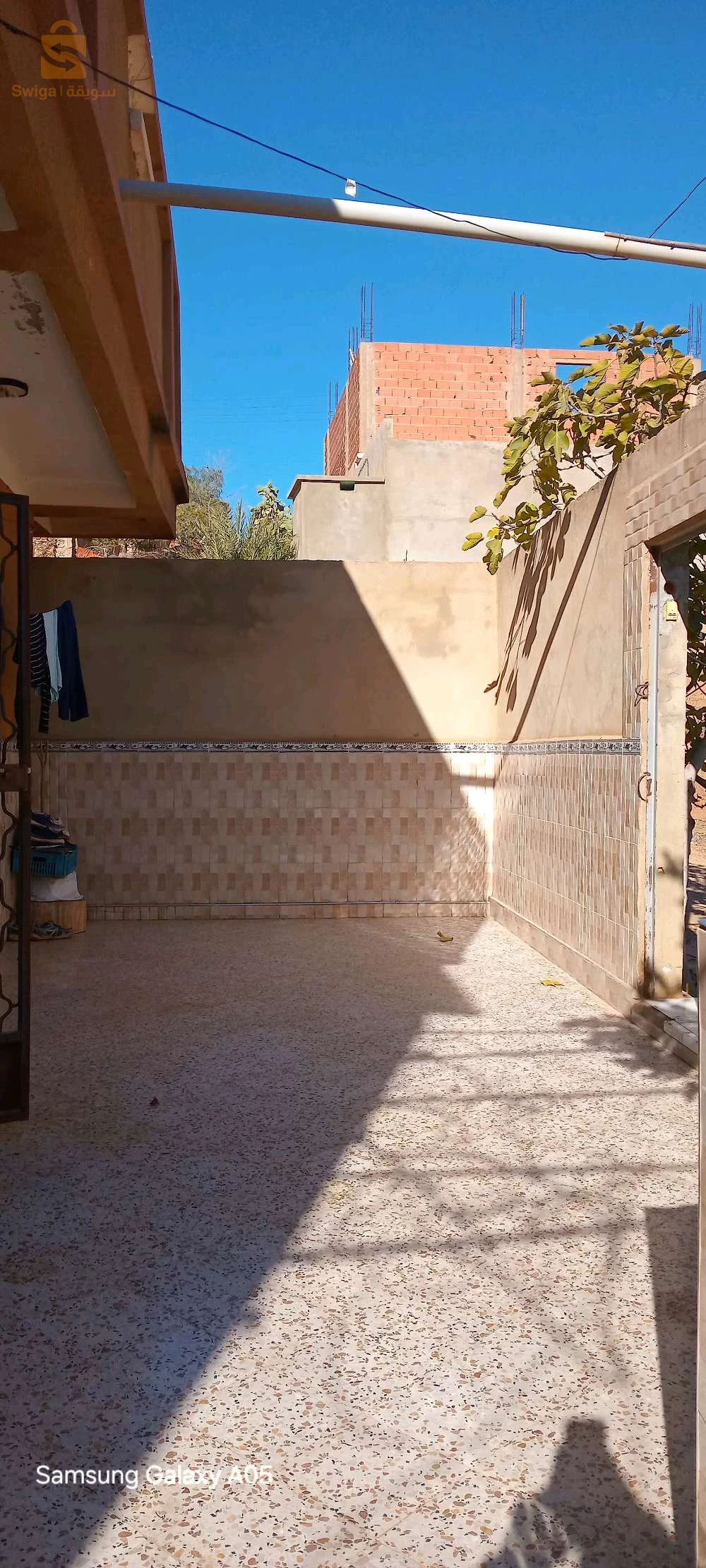 شعبة الابطال