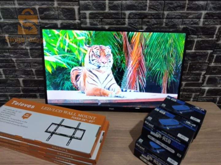 Téléviseur géant 32p+support+démo