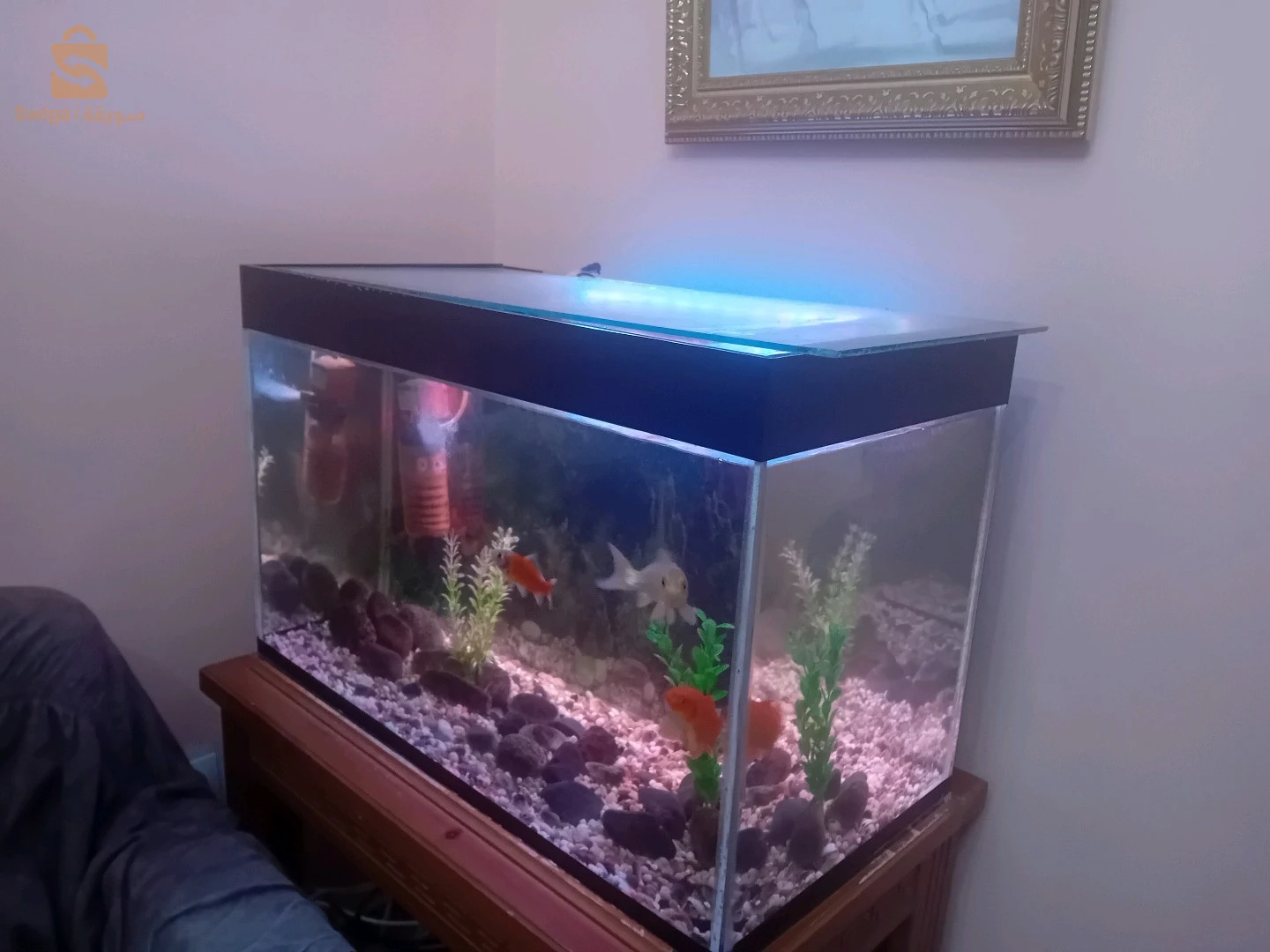 aquarium forte epaisseur