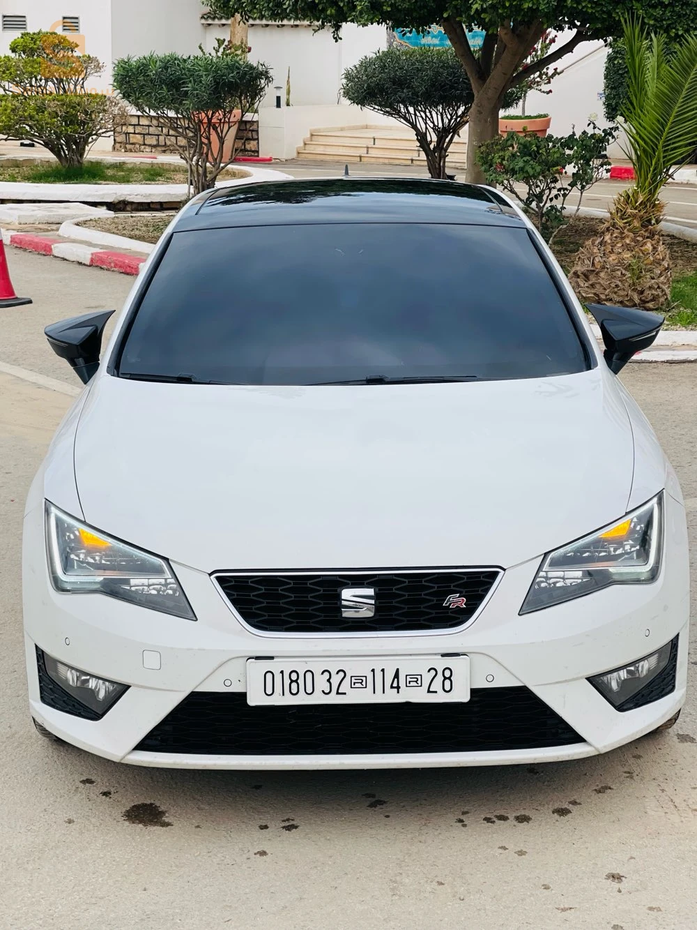 leon FR+2014 00sbiga machya 280alf reel