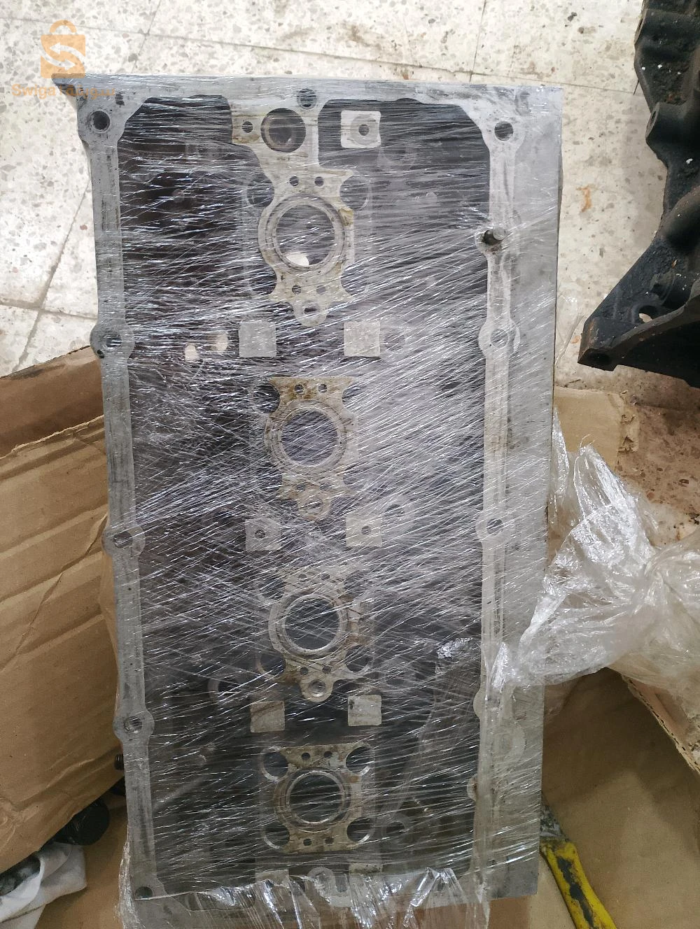 دلس واد تيزة