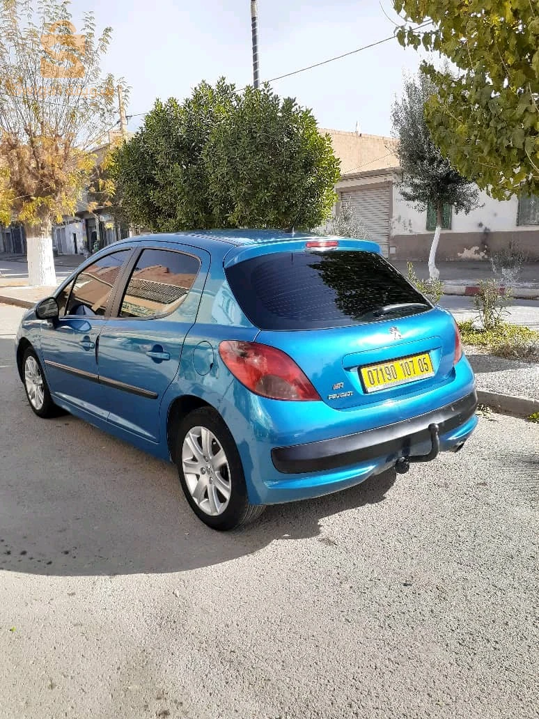 207 سلعة زينة