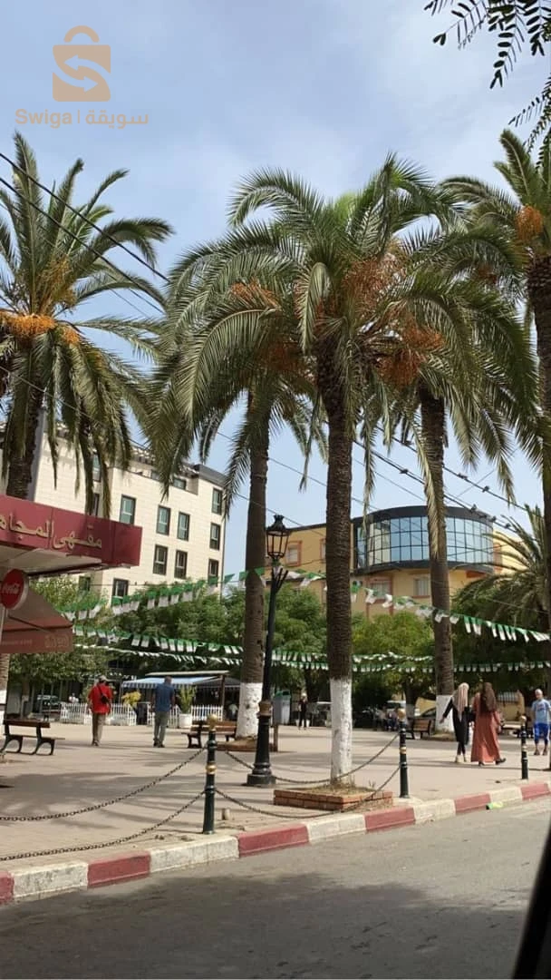 Vente des F4 Fini a Bordj el bahri centre  
🔔Des Grandes superficies 0770 55 98 19 📞📲