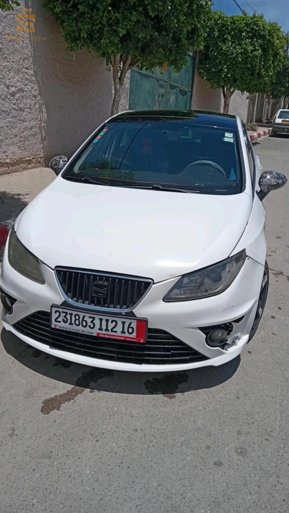 Ibiza lenea R