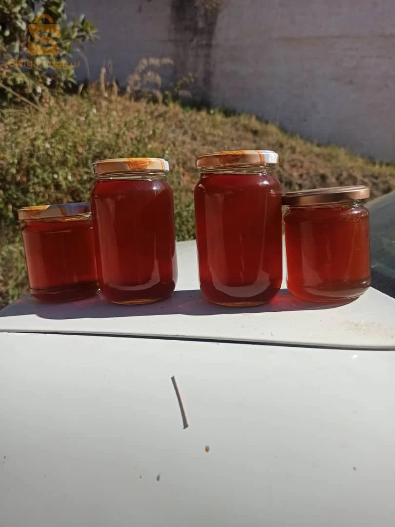 عسل السدر