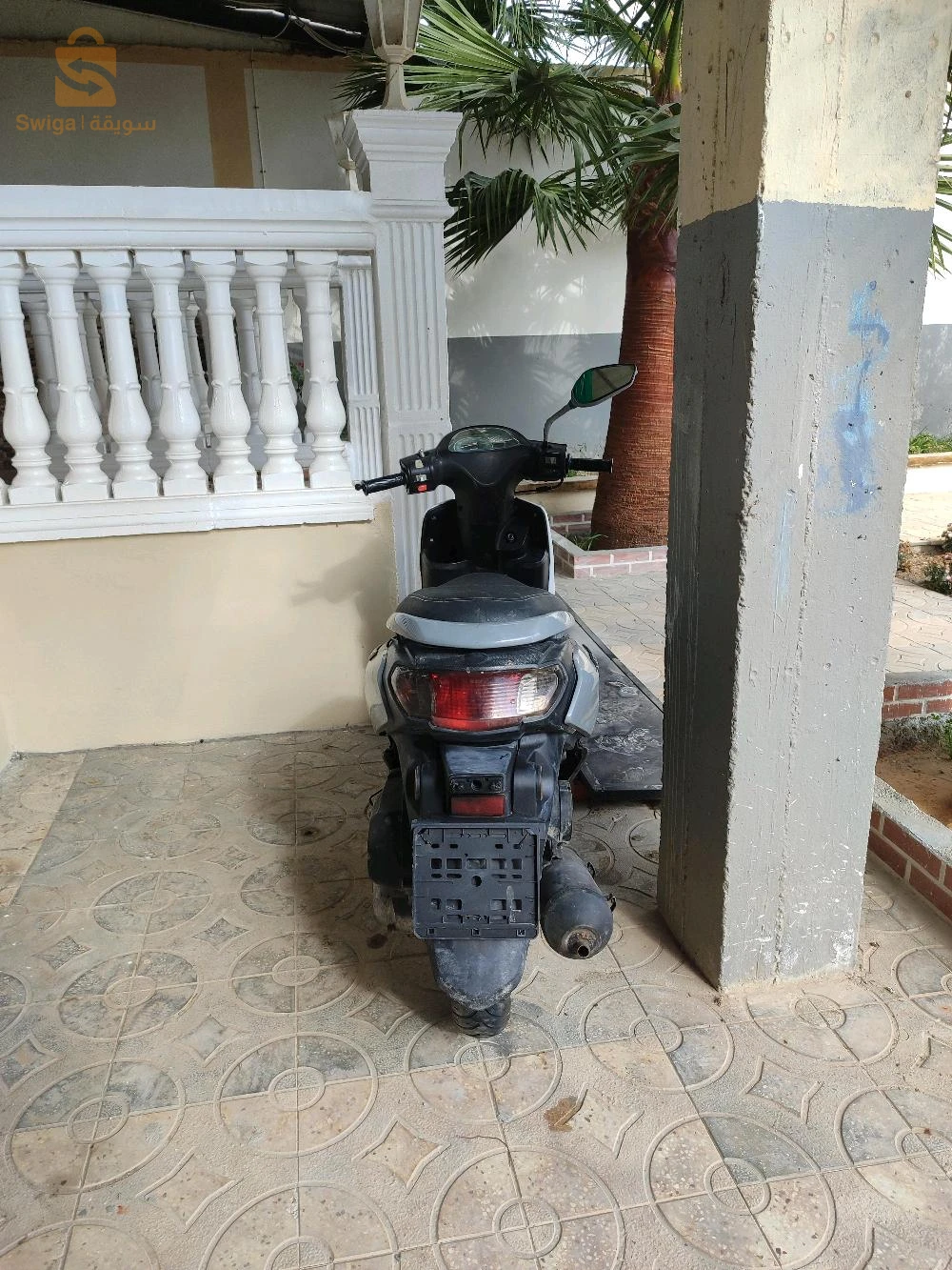 جوكي