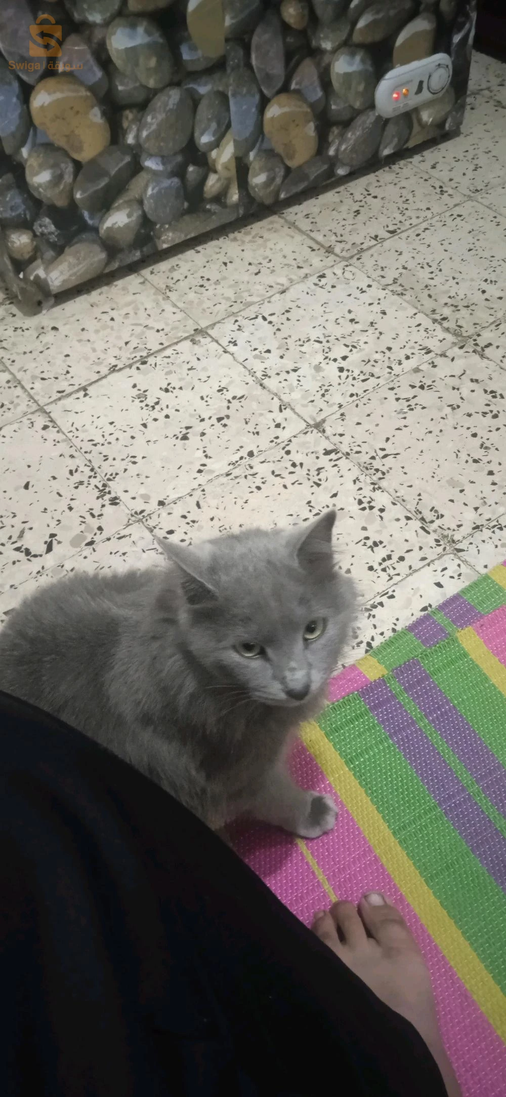 بيع