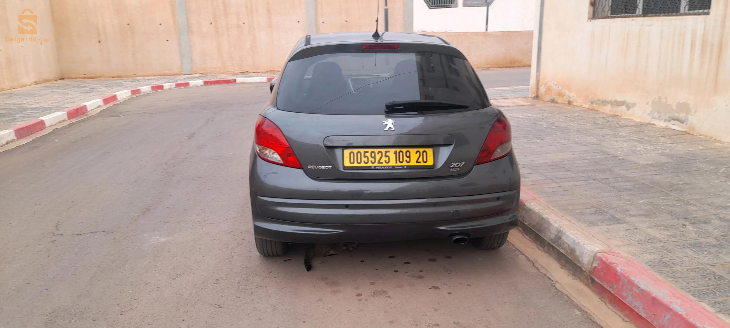 00 بنتورة
