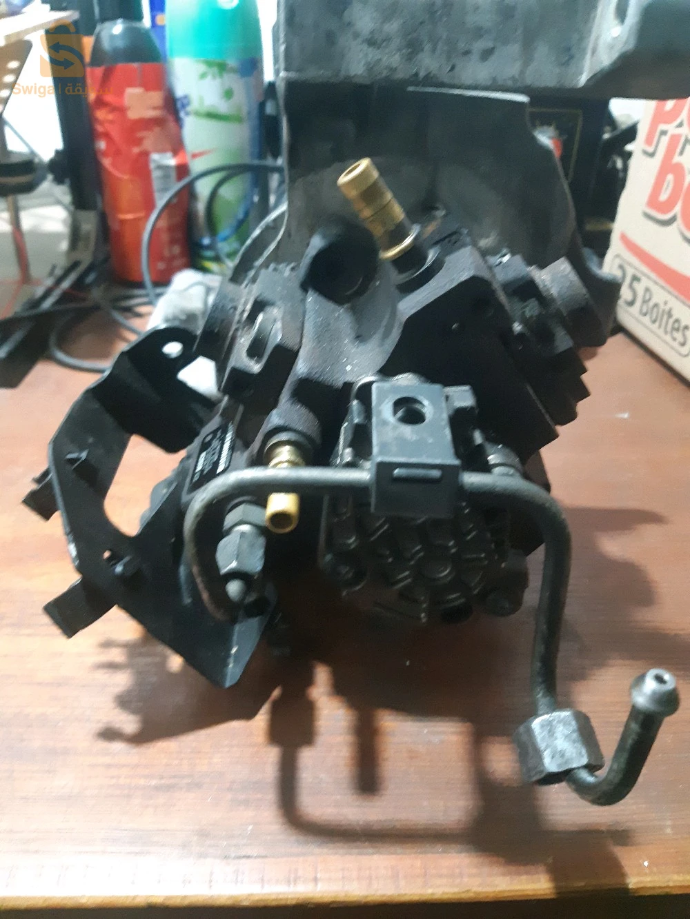 ouled ben aek, chlef