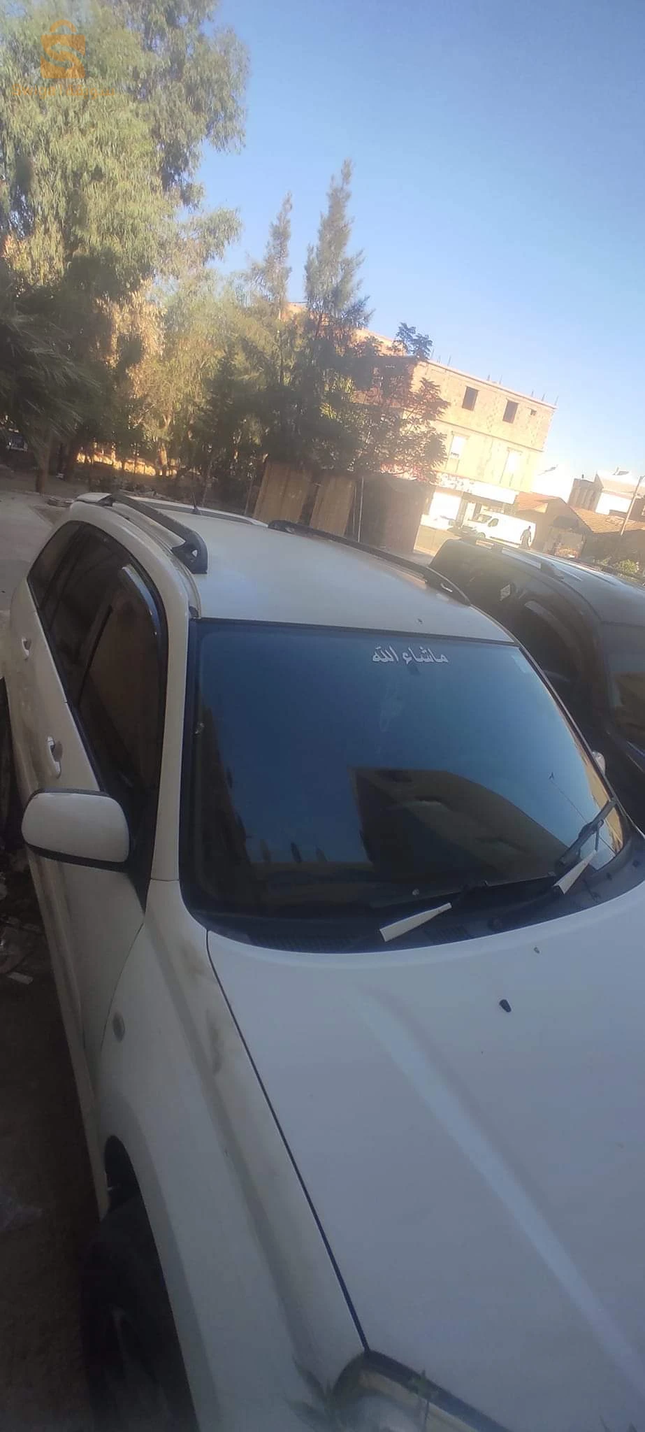 المدية