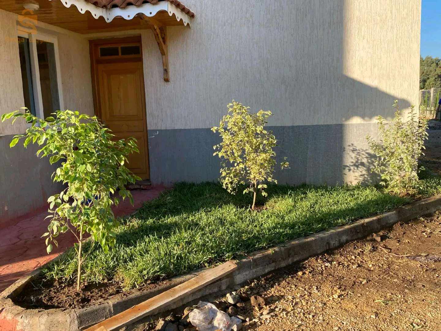 تهيئة المساحة الخضراء و بيع اشجار الفوكيه و التزين