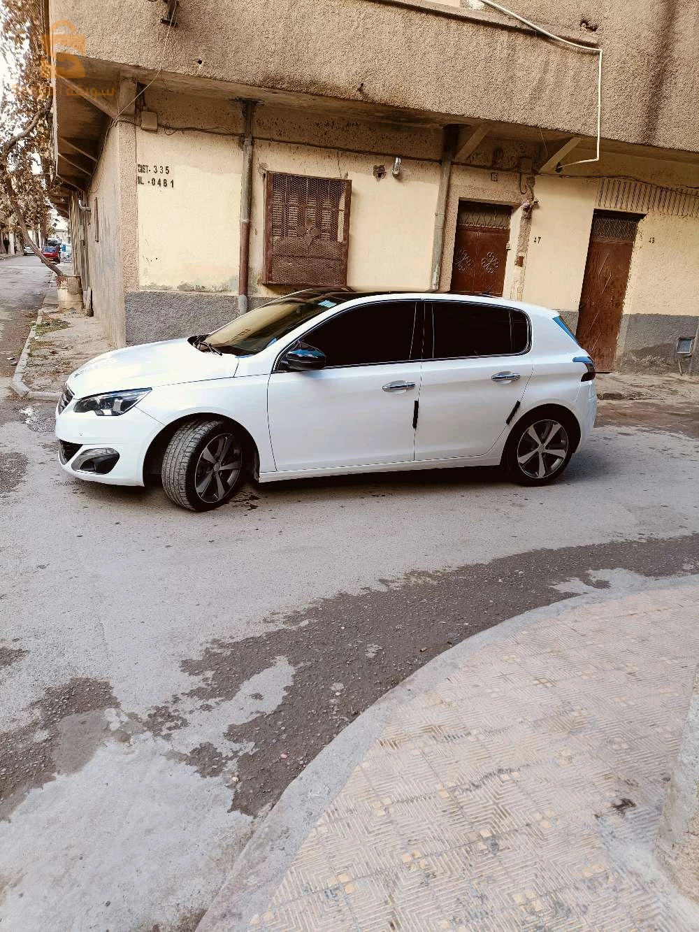زيرو سبيغا