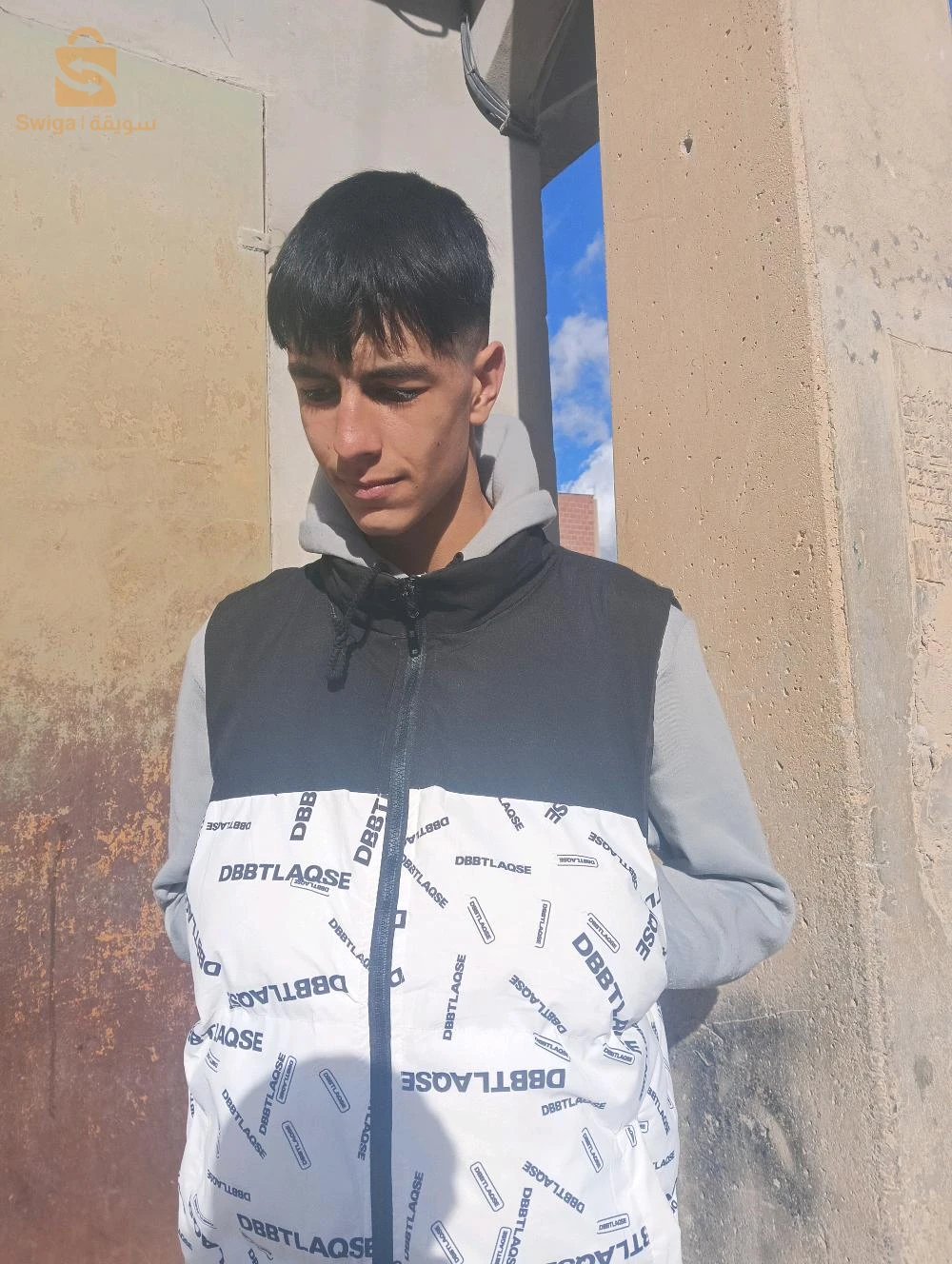كلاب جزائرية شرسة للحراسة