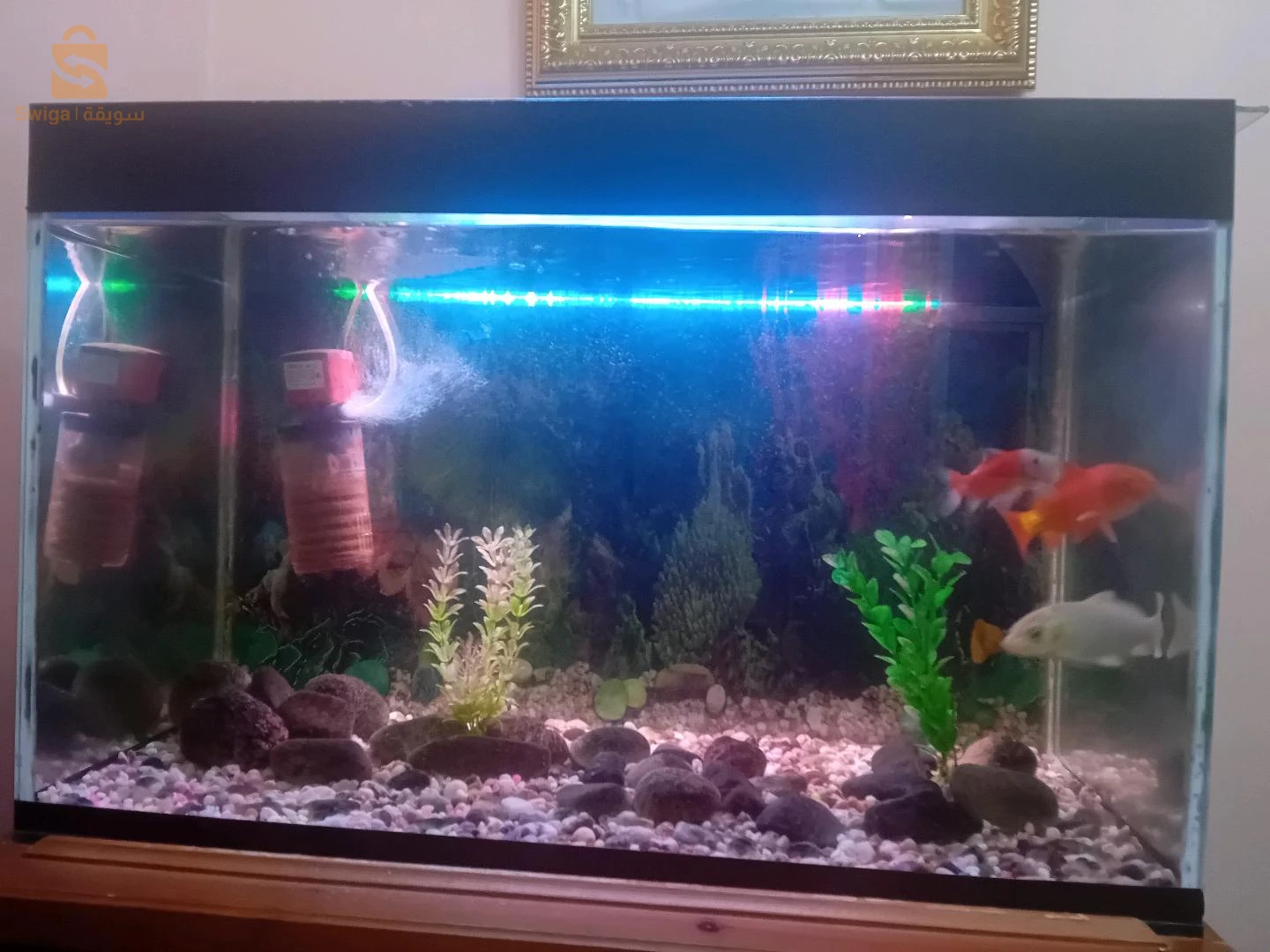 aquarium forte epaisseur